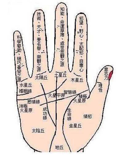 透过手面相看你的学业与考运