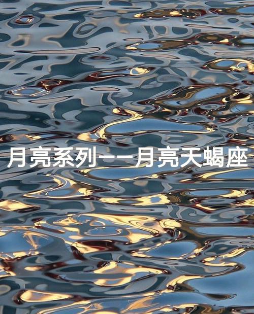 月亮天蝎男爱的体现