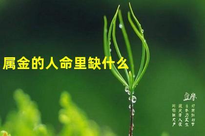 什么叫做命中缺金
