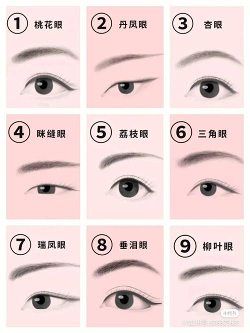 如何辨别自己的眼型