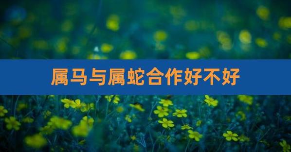 属蛇和属马事业合作好不好