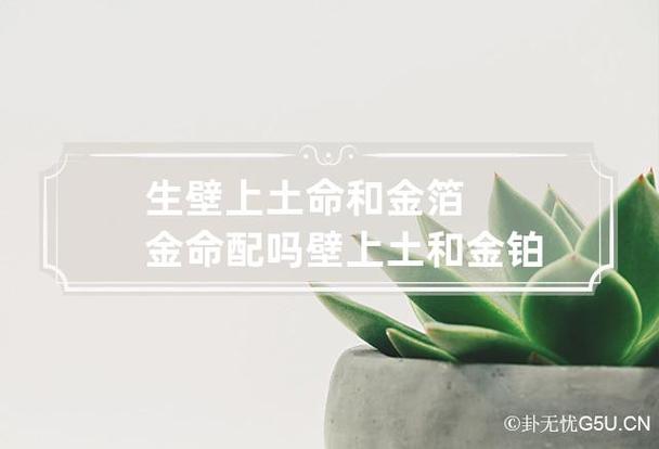 金箔金命和壁上土命会相克吗