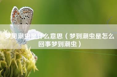 梦见潮虫是什么意思