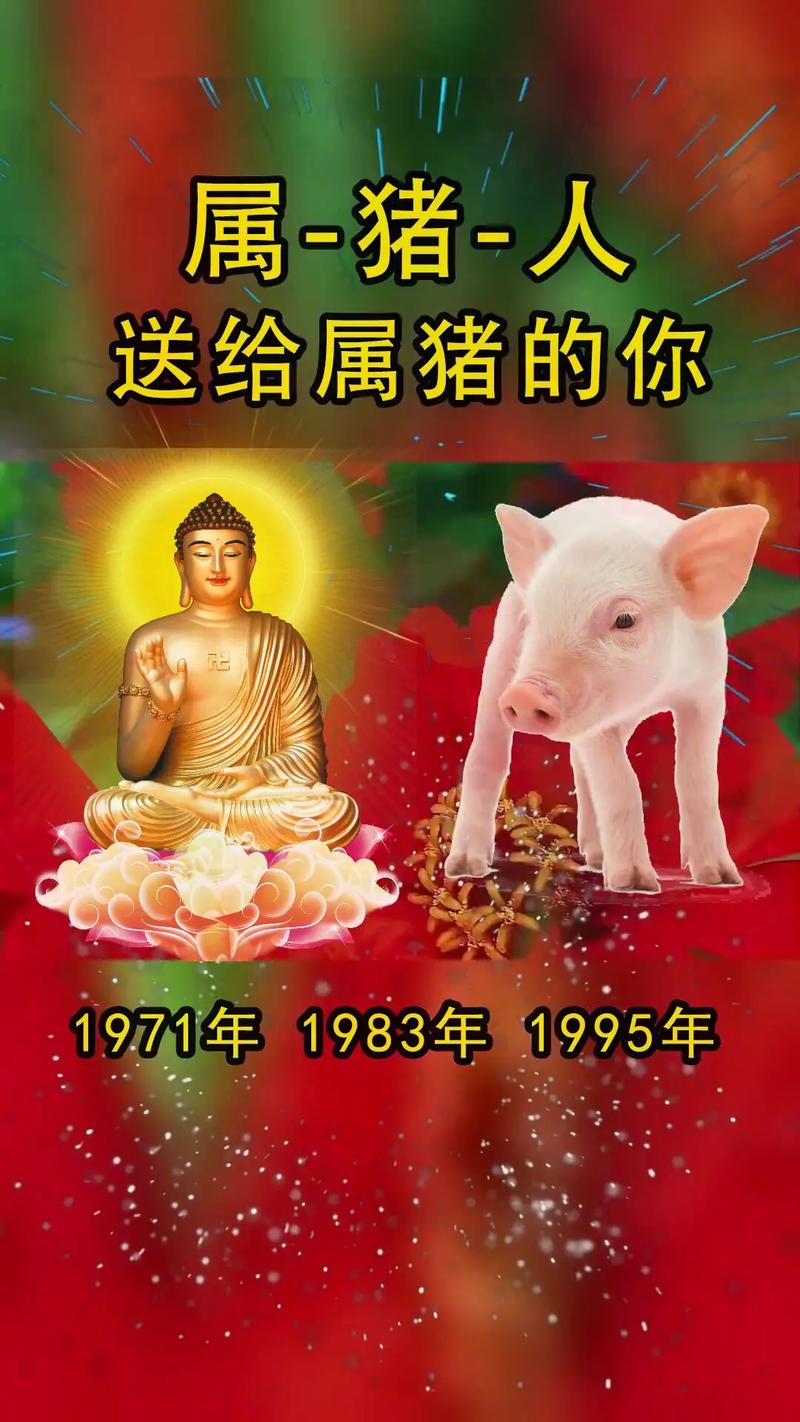 不同猪年的人是什么猪