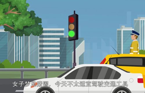 梦见交通工具怎么回事