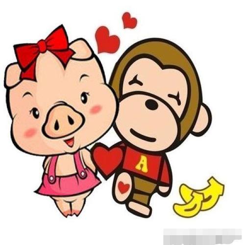 生肖猪婚配生肖猴