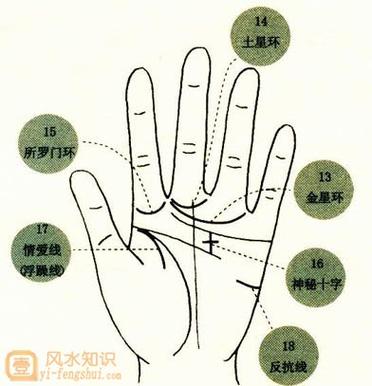 图解:手相金星环算命