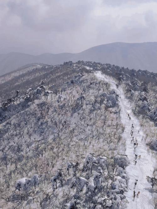 孕妇梦见山上有雪