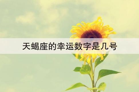 11月18日天蝎座的幸运数字:9