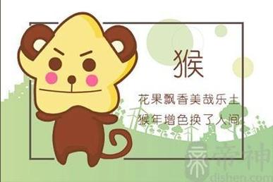 谁是属猴的命中贵人?这三个一定要珍惜