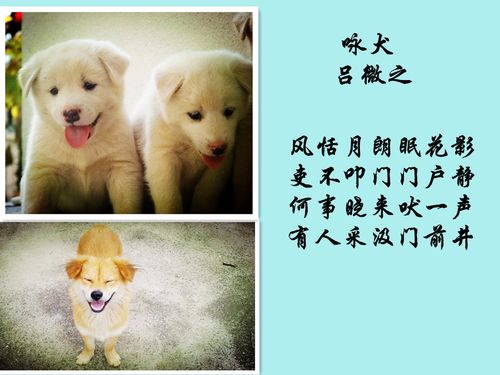 生肖狗诗词集锦