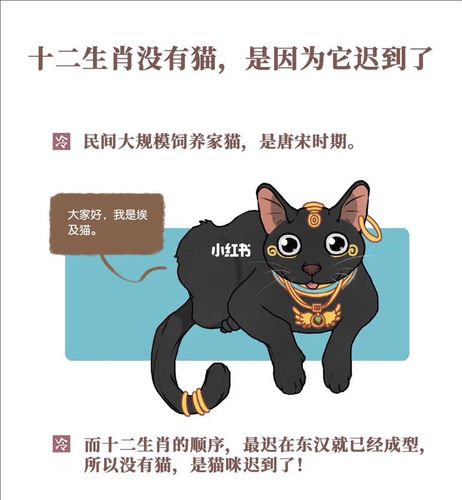 12生肖里为什么没有猫,猫究竟去了哪里?