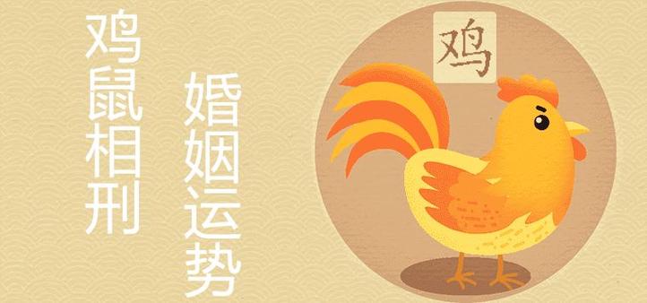 生肖男鼠和生肖女鸡的爱情