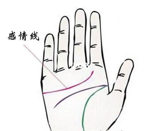 感情线很长