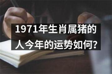 1971年的猪今年运势如何