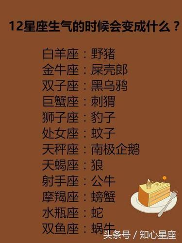 婚后变的全职太太的星座
