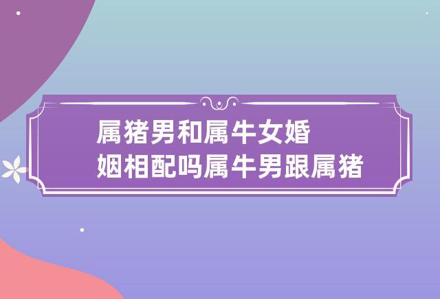 属牛女与属猪男缘分指数多少?两个属相般配吗?