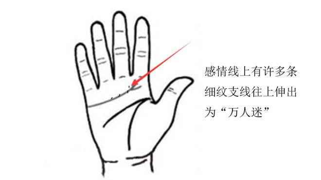 感情线有无数向下支线