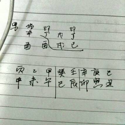 辛酉年出生人的命运详解