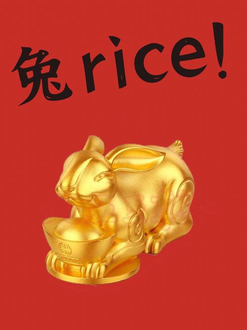 1987年兔33岁后财运,87年兔如何化解财富危机