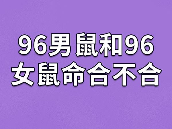96男鼠和96女鼠命合不合