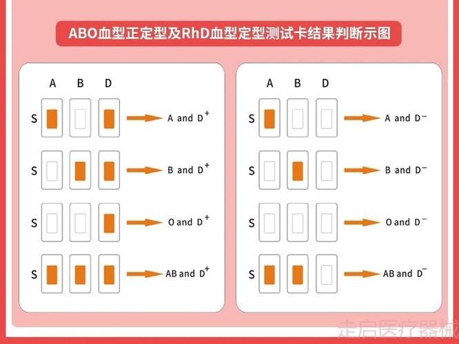 血型鉴定怎么看