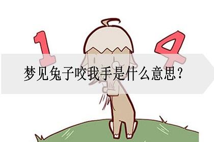 梦见兔子咬我代表什么含义?