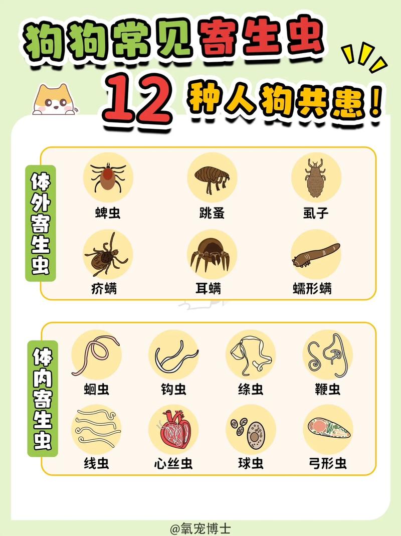 最能激发生肖狗的人灵感的事件
