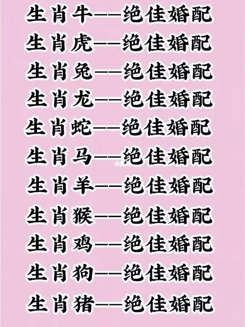 有关12生肖的男女配对——狗