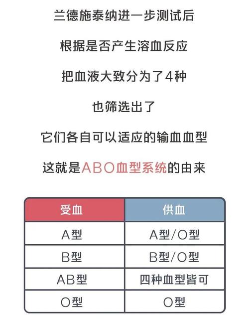 喜欢成为众人焦点的血型人