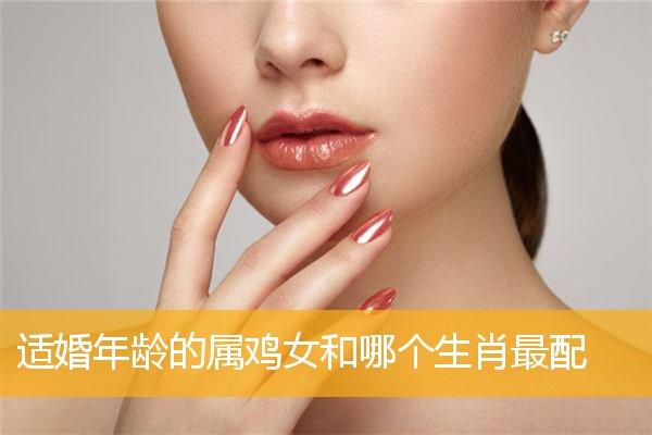 属鸡男最想娶的老婆是,属鸡男喜欢哪些女性类型