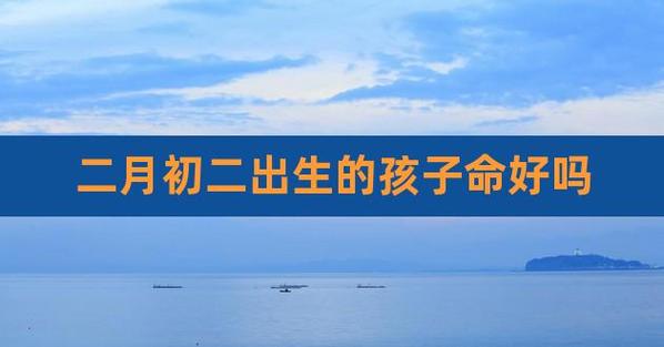 初二诞生的男孩命好吗