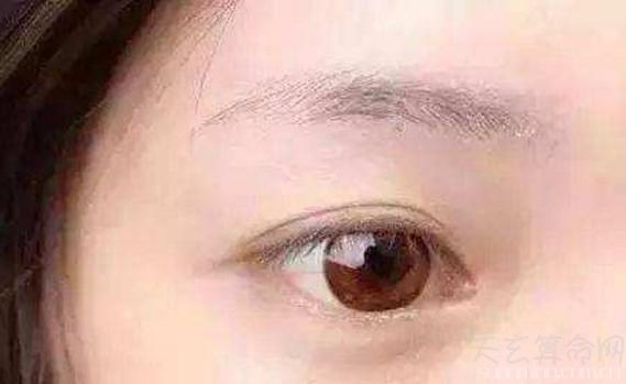 眉毛稀疏的面相好不好