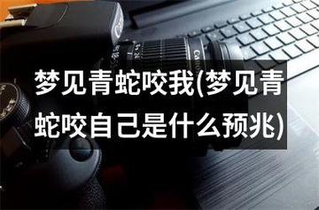 梦见青蛇咬自己手