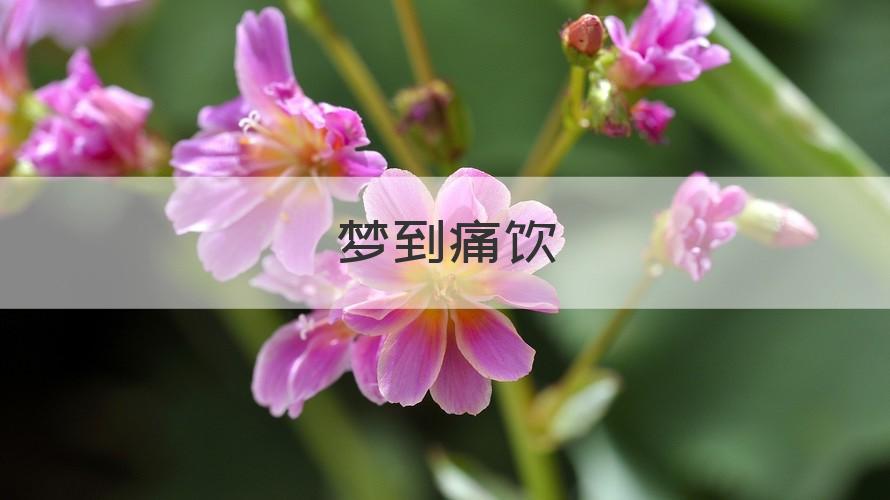梦见痛饮怎么回事