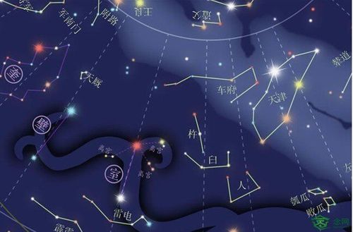 天府星坐守十二宫——福德宫