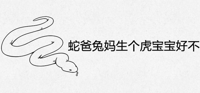 蛇爸兔妈生个牛宝宝好不好