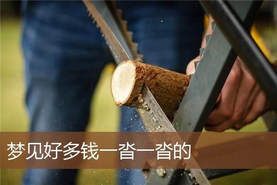 梦见满地是钱 周公解梦之梦到满地是钱