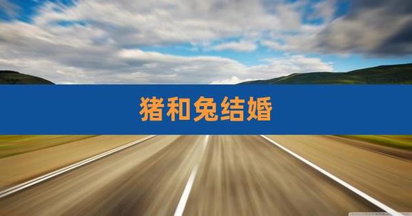 2021年属兔和属猪人结婚好吗