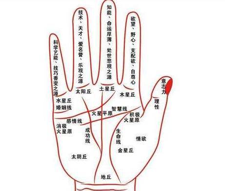 面相图解 夫子眼人人都有吗