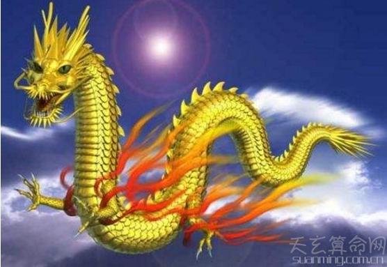 属龙人33岁运势(生肖龙的运势好不好)