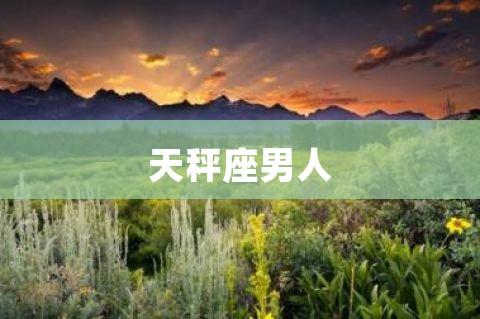 上升星座天枰男外貌