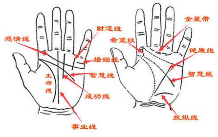 男人手相感情线图解大全