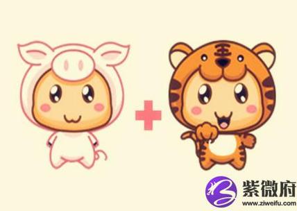 属虎的和什么属相最配,属虎和属猪的在一起会很幸福