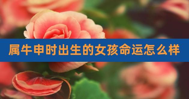 申时诞生的属牛女孩