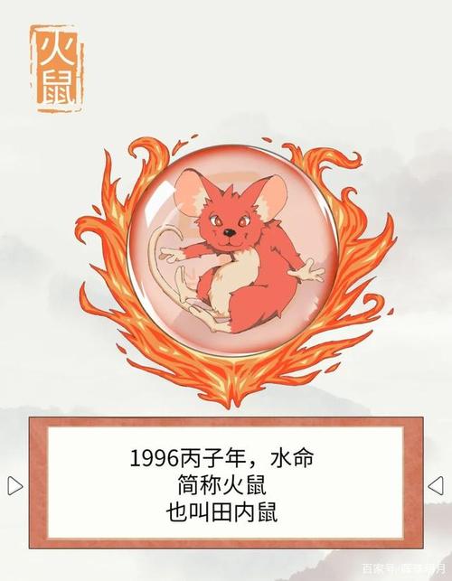 火鼠的人性格与运势如何