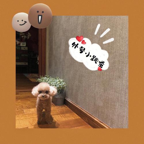 梦见弄死小蚂蚁