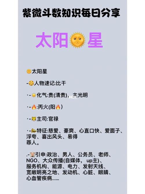 紫薇斗数的太阳是什么意思