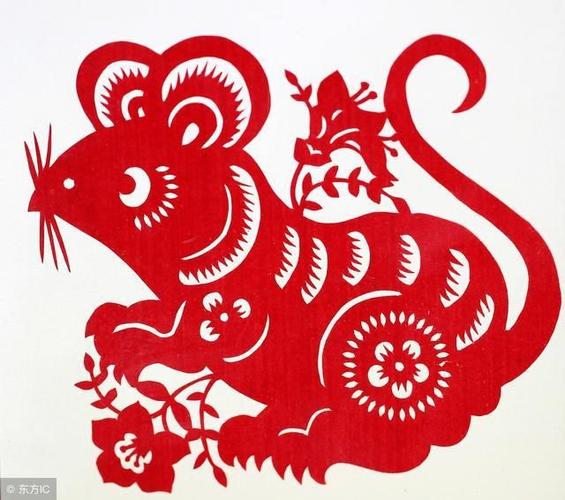 2020鼠年夏至节气巳时出生属鼠宝宝命好吗?