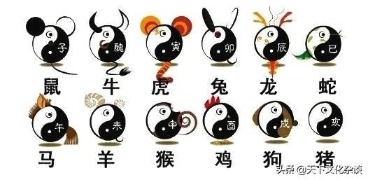 2019年十二生肖运程
